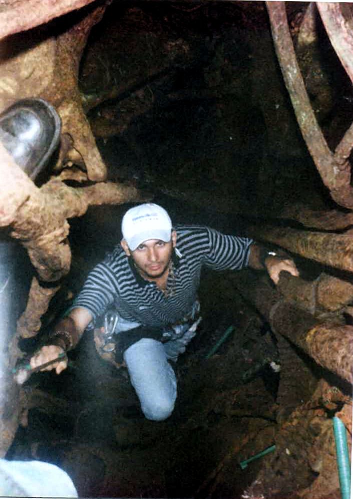Archivfoto: eine Person mit Schirmmütze klettert im Inneren eines hohlen Baums nach oben