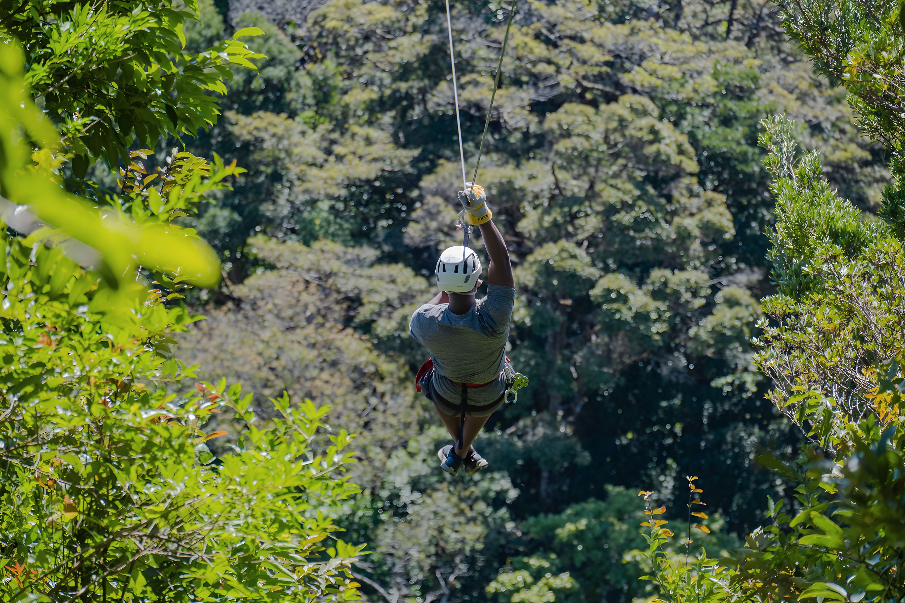 Eine Person, von hinten gesehen, fährt an der Zipline hinunter ins Blätterdach des Nebelwalds von Monteverde
