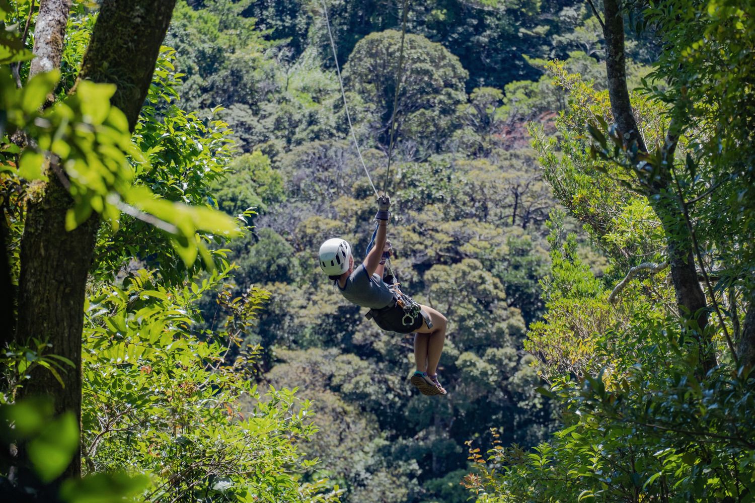 Eine Person fährt an der Zipline zwischen den Bäumen, dahinter das Tal voller Nebelwald