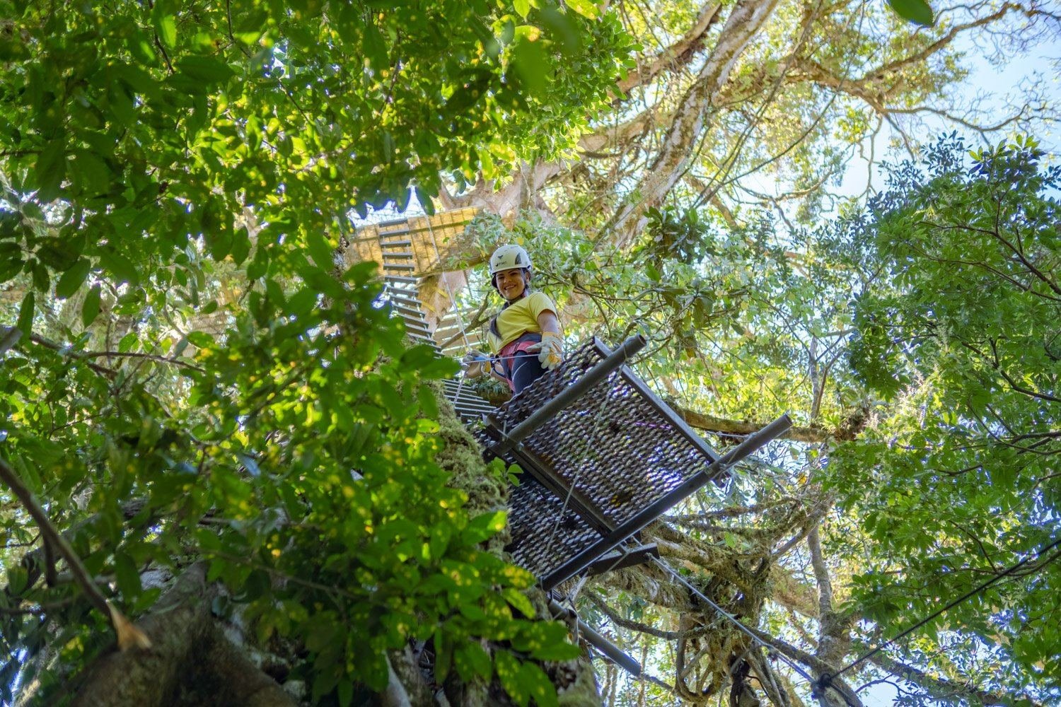 Guest smiling on a zipline platform high in the Monteverde cloud forest canopy