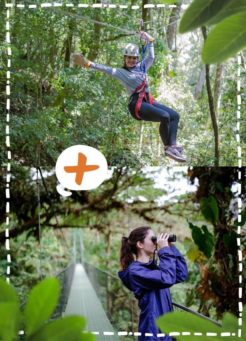 Canopy + Hanging Bridges