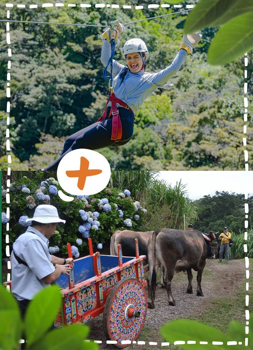 Canopy + Trapiche Tour