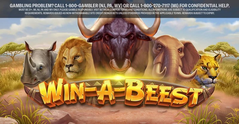 Overview of casino winbeast Overview of casino winbeast